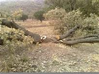  زمین‌خواری 